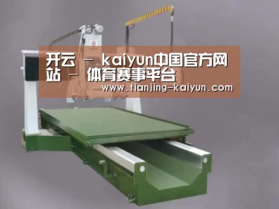 产品名称八