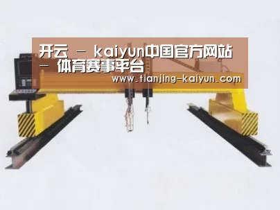 产品名称十九