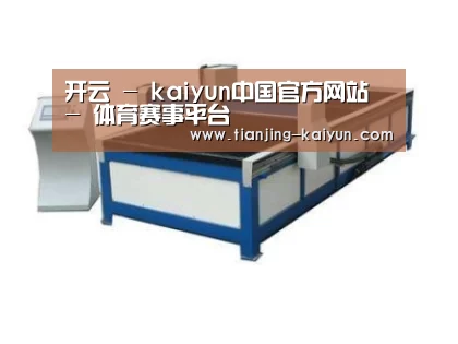 产品名称九