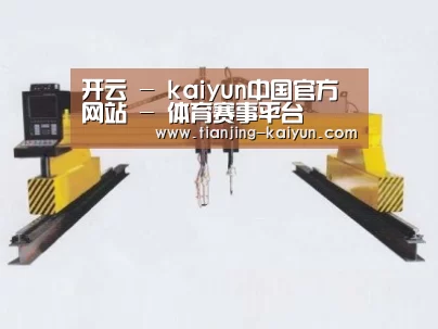 产品名称十七